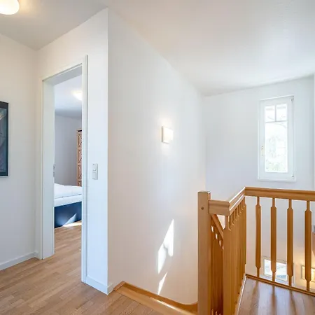 Sonnenglanz צינוביץ