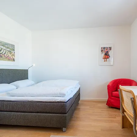 Sonnenglanz צינוביץ